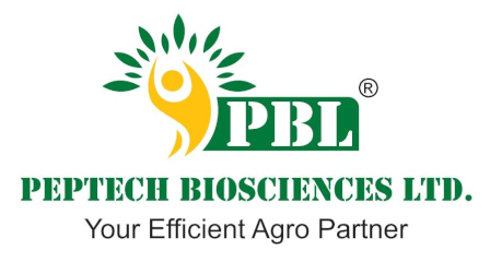 Pbl